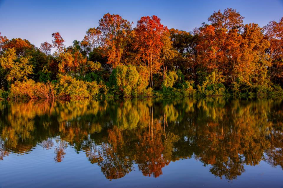 Louisiana Autumn_1jpg